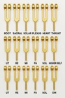 ? Chakra 9 Weighted & Solfeggio 9 Weighted (Golden) – 18 Healing Tuning Fork