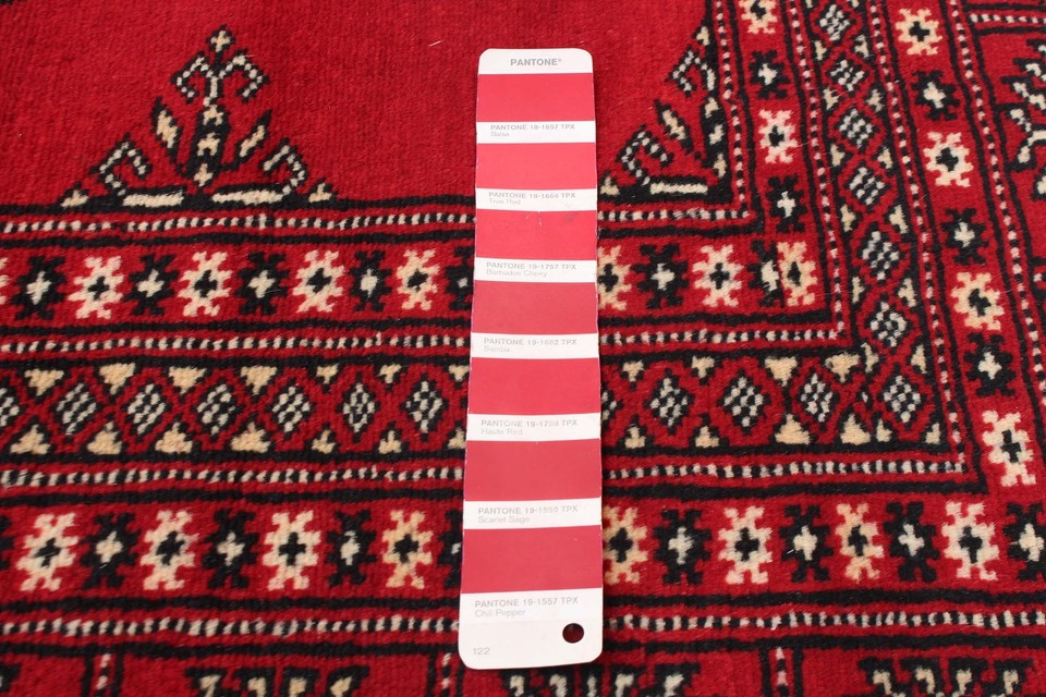 Traditional HandKnotted Bordered Tribal Carpet 9'1" x 11'9" Wool Area