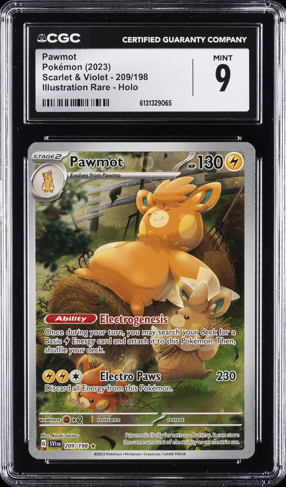 2023 POKEMON SCARLET & VIOLET ILLUSTRATION RARE #209 PAWMOT CGC 9