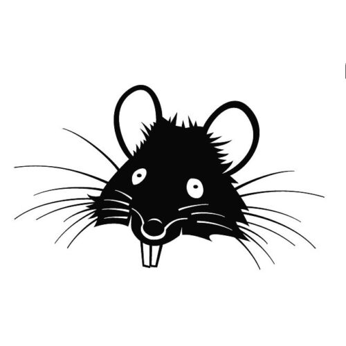 RAT FACE ,ANIMALS RODENTS ,FUNNY,DECAL CAR STICKER | eBay