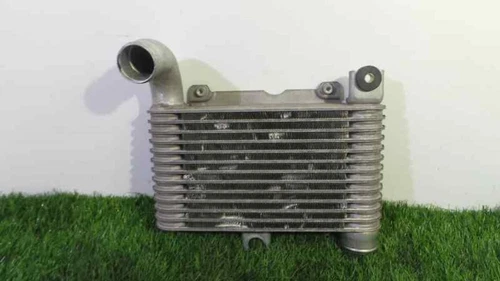 porta anteriore sinistra per TOYOTA YARIS (99 03