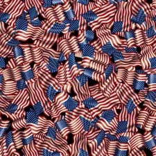 3 Yards Cotton Fabric - Quilting Treasures Americana 4th July Indivisible Flags