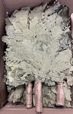 10 Oak Venik Sauna Broom Sauna Banya  КАВКАЗСКИЙ ДУБОВЫЙ ВЕНИК БАННЫЙ