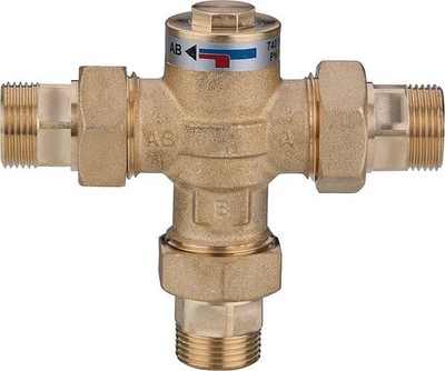 Evenes Therm. Ladeventil Easyflow Wood Typ 746 DN25 45°C