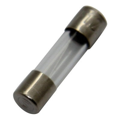 10X 520.624 Fuse: Fast Blow 5A 250VAC cylindrical, made of glass ESKA