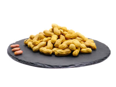 Erdnüsse (in der Schale ganz) | Nüsse | 100g/250g/500g/1kg