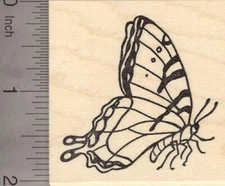 Tiger Swallowtail Butterfly Rubber Stamp H20702 WM