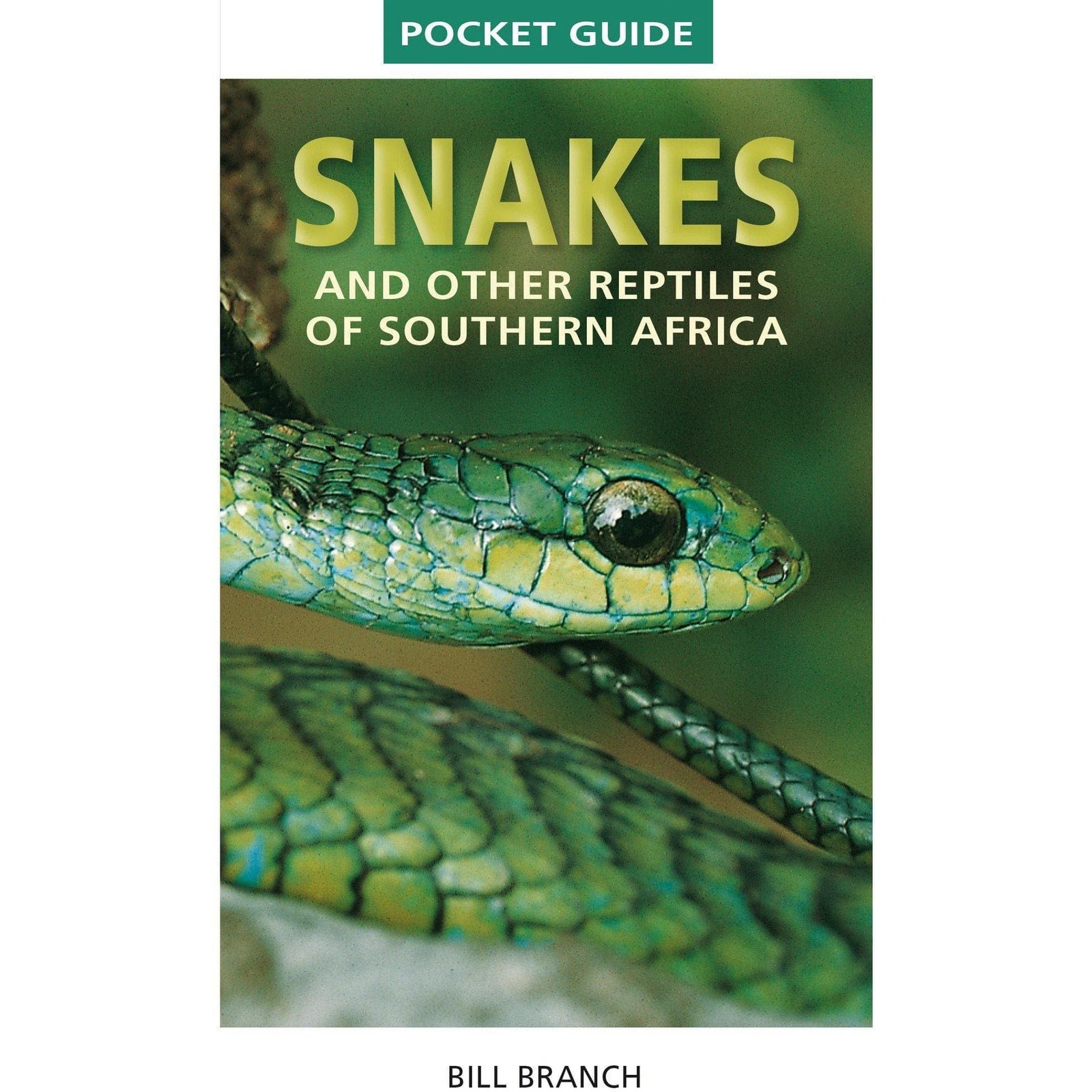 Pocket Guide to Snakes and other reptiles of Southern Africa by Bill Branch - Image 8