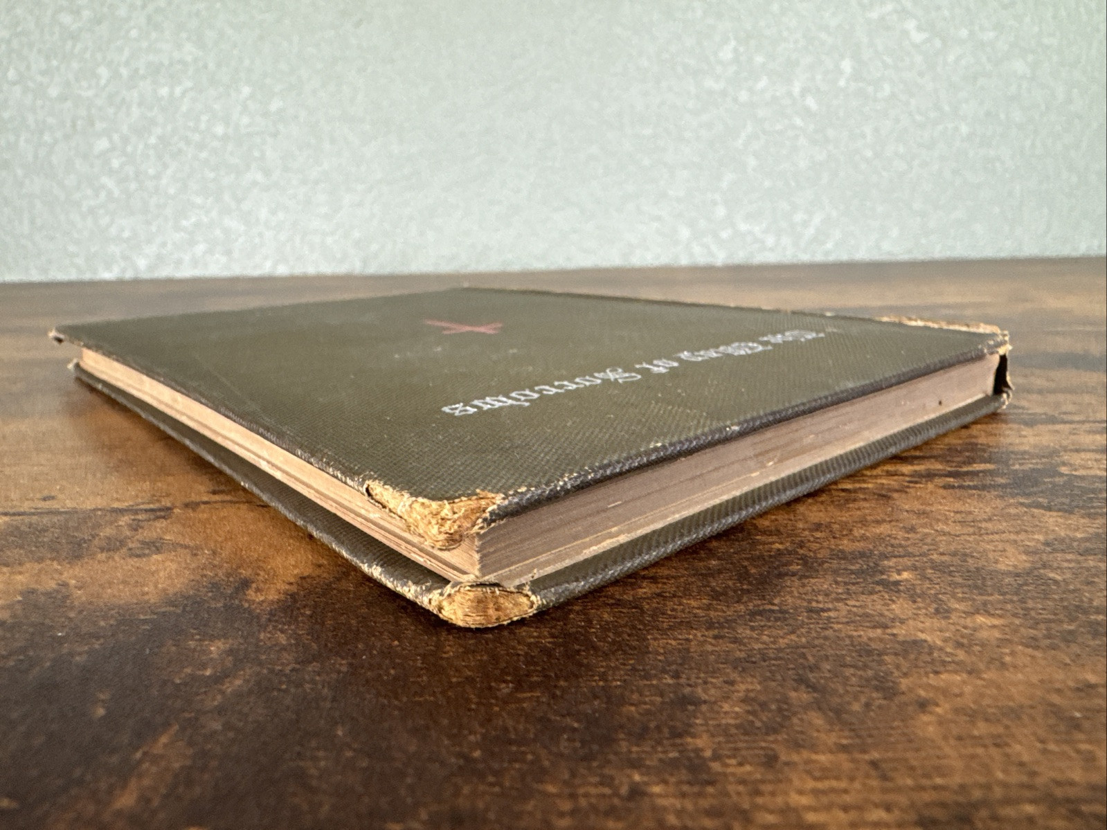 THE WAY OF SORROWS ~ SEVEN DISCOURSES FOR LENT ~ BY S. BARING GOULD