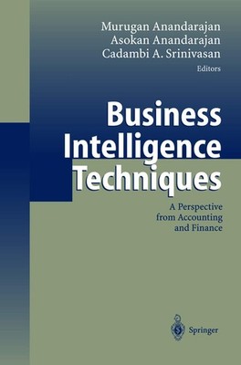 Business Intelligence Techniques: A Perspective from Accounting 
