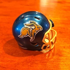 South Dakota State Jackrabbits custom pocket pro helmet FCS