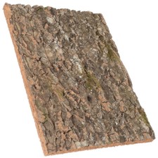 Bark Background Decoration Reptile Platform Cork Wood Terrarium Branches