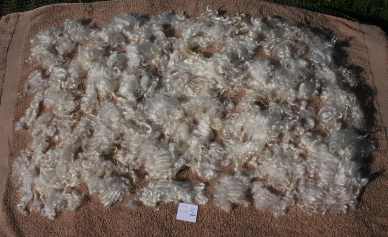 Washed Mohair Fiber White Spinning Young Adult Angora Goat Dot 5 ounces Lot 2