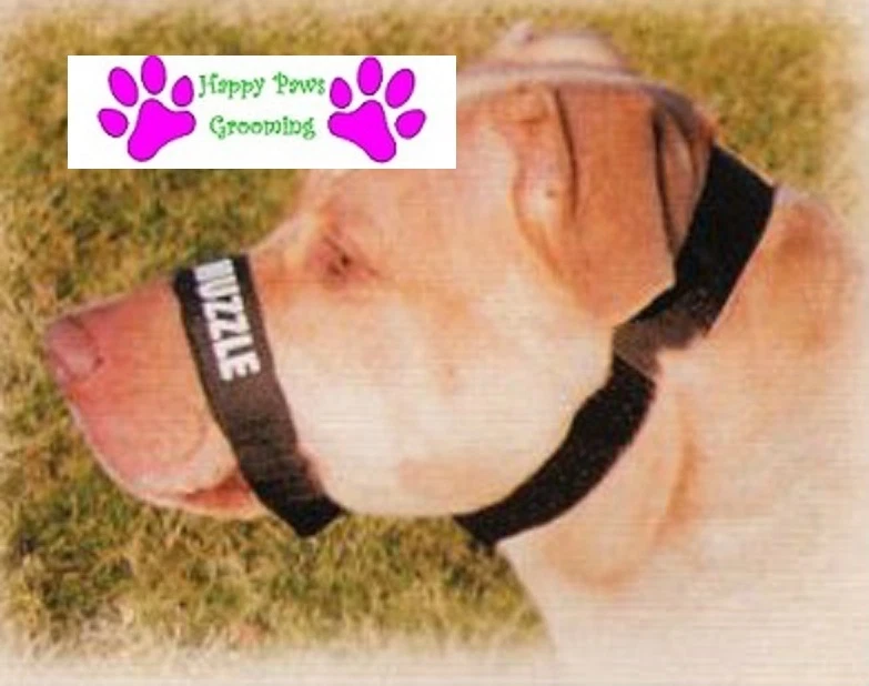 Happy strap dog grooming cheap