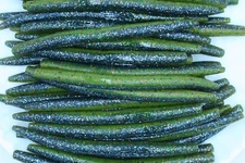 5" Sunfish Stick Baits Wacky Plastic Worms Bass Fishing