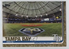 2019 Topps Gold 715/2019 Tropicana Field Tampa Bay Rays #566 1d3a