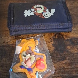 Warner Bros. Looney Tunes Taz Vinyl and keychain lot
