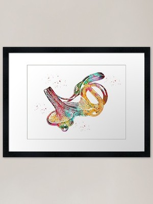 Labyrinth des Innenohrs gerahmtes Kunstwerk P gerahmt Wandbild Poster Leinwanddruck Bild