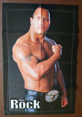 DWAYNE ''THE ROCK'' JOHNSON & CHUCK & BILLY PALUMBO WWE 32X22 GIANT POSTER 