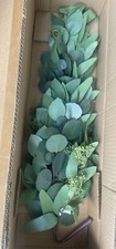 24" Eucalyptus Leaf Teardrop Green Swag Artificial Plant Greenery Decor