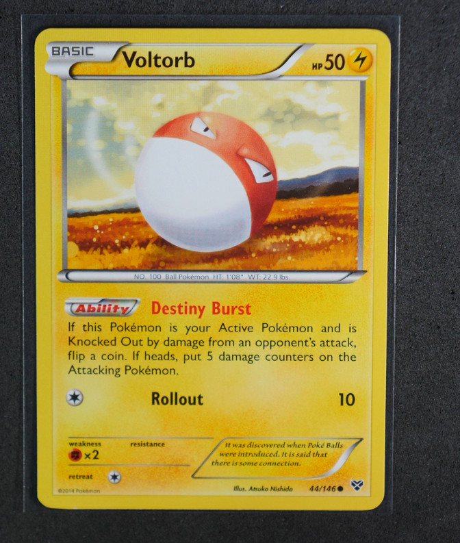 Voltorb Common #44/146 XY Base Set 2014 NM sui