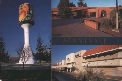 Sunnyvale CA Fancy Peaches Water Tower & City Views Santa Clara County Postcard