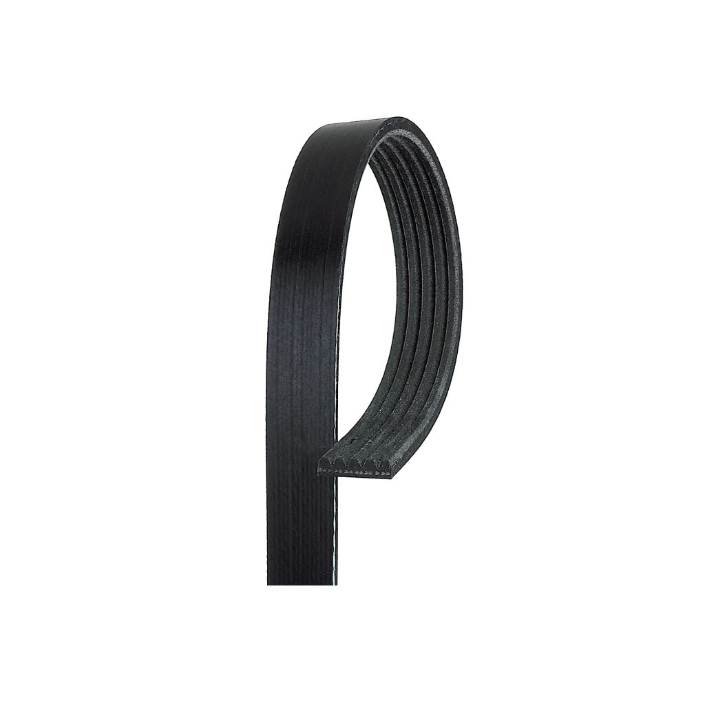 Acura NSX 2002-2005 Alternator belt