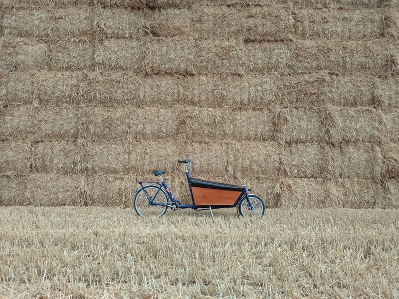 Bakfiets Classic Long cargo bike box bike