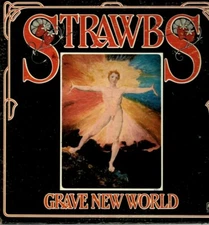 Strawbs Vinyl LP A & M Records, 1972, SP-4344, "Grave New World" ~ VG+