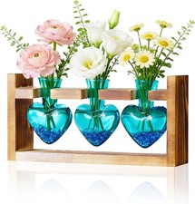 Nacome Plant Terrarium Propagation Stations: Birthday Gifts for Plant Lovers Wom