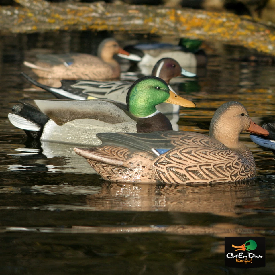 Avery GHG Greenhead Gear Life-Size ES Mallard Duck Decoys - 1 Dozen - Image 3 of 4