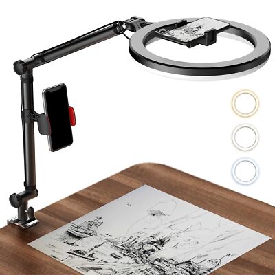 Ring Light With Stand And Phone Holder Usb 10'' Ring Light For Desk Overhead Cam