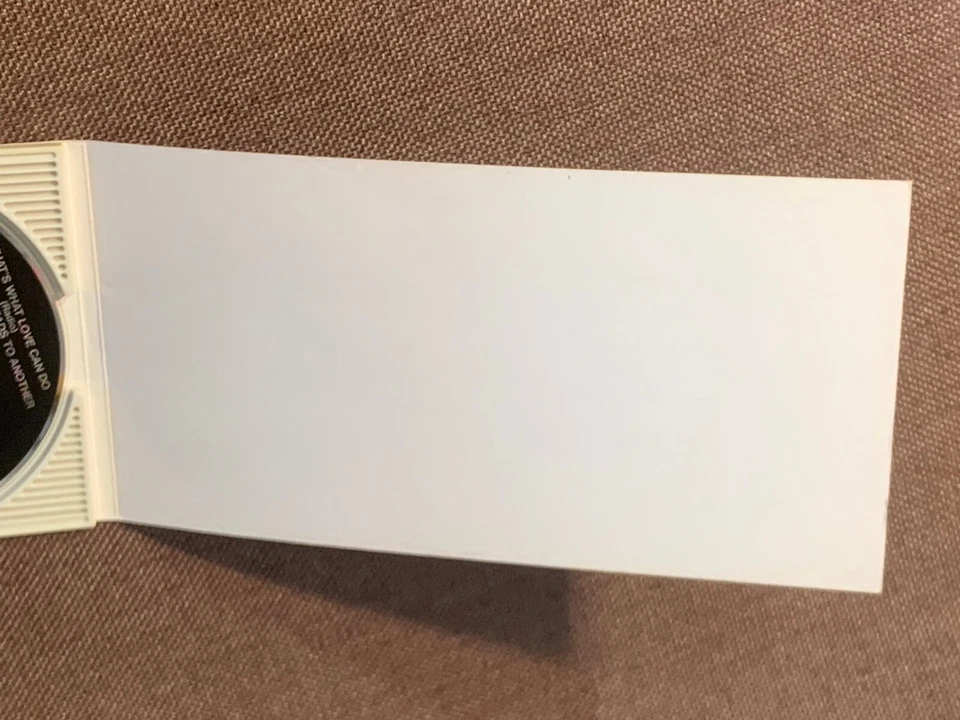 BOY KRAZY That's What Love Can Do JAPAN 3" CD SINGLE PODP-1073 Not-snapped - Image 3 of 4