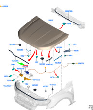 Capot Ford RANGER