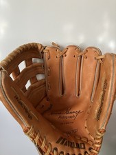 Pre-owned  The Goose   Mizuno Mitt/glove Lefty MT2070 Autograph