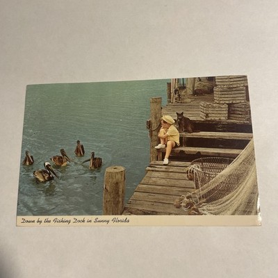 Postcard Down By The Fishing Dock In Sunny Florida