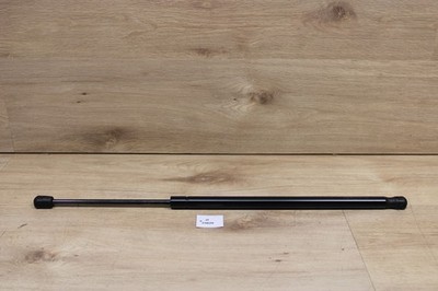 AutoMega 100100410 Heckklappendämpfer NOS NEU genuine xl19820