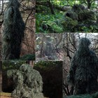Foto 9 di 15
