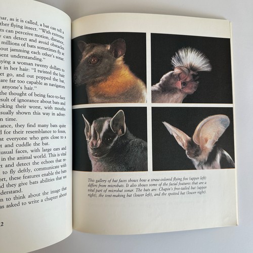 Batman, Exploring the World of Bats book by Laurence Pringle, 1991 (Paperback) - Picture 5 of 10