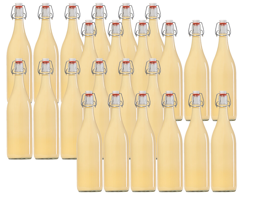 24 x Leere Glasflaschen mit Bügelverschluss Bügelflasche 1L 1000ml Typ A