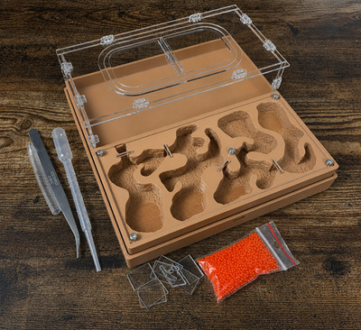 Ant farm '' ''Easy Start PLUS'' Natural organic nest design Anthill, Formicarium