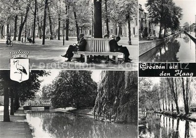 The Hague Parks Rest Bench Canal Nature