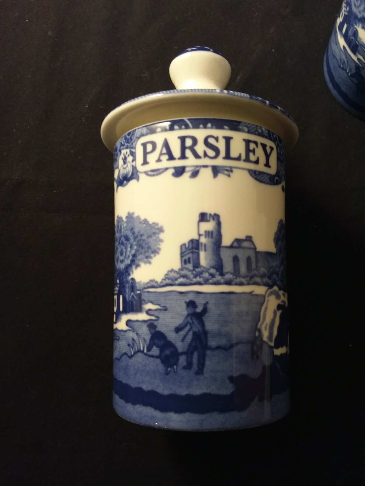 Spode Blue Italian Spice Jars with Lid Set of 4 Porcelain Blue & White