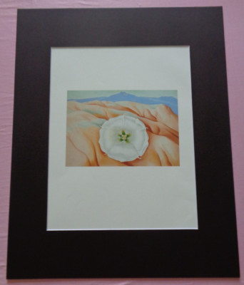 Georgia O'Keeffe White Datura and Pedernal Flower Art Print Matted New Mexico