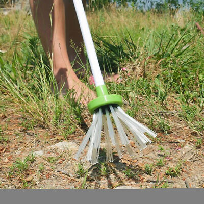 Spider Catcher Trap Tool Removes Critter