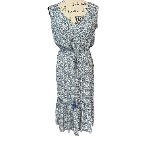 toile blue dress Sassy Shortcake Time After Toile Blue Dress main image 0