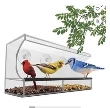 Window Mount Bird Feeder  in Box Home Office Classroom