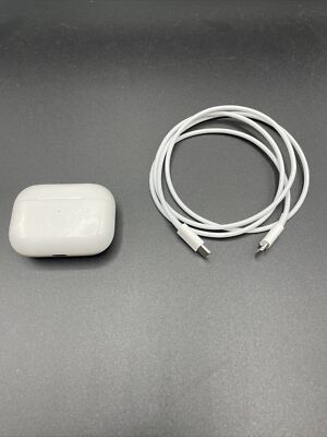 Genuine Apple Airpods Pro Replacement Case Charging Cable 190 Free Ship Ebay