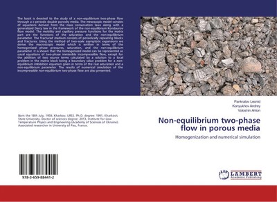 Pankratov Leonid (u. a.) | Non-equilibrium two-phase flow in porous media | Buch