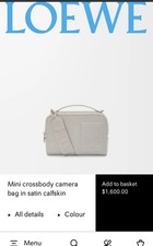 Loewe Camera Crossbody Bag Leather Mini